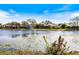 Scenic lake view showcasing the calm water and lush shoreline at 8579 Woodbriar Dr, Sarasota, FL 34238