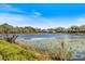 Scenic view of the pond and lush landscaping surrounding the property at 8579 Woodbriar Dr, Sarasota, FL 34238