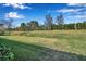 Manicured backyard features healthy grass, palm trees and a beautiful blue sky at 13303 Swiftwater Way, Lakewood Ranch, FL 34211