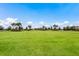 Expansive green space with mature palm trees and landscaping at 13303 Swiftwater Way, Lakewood Ranch, FL 34211