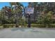 Basketball hoop on a green court with fence and landscaping at 16416 Baycross Dr, Lakewood Ranch, FL 34202