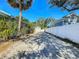 Long driveway leading to a detached garage, surrounded by lush tropical foliage and a white fence at 1687 Arlington St, Sarasota, FL 34239