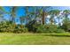 Lush, green backyard with mature trees providing shade, and abundant foliage under a blue sky at 20170 Benissimo Dr, Venice, FL 34293