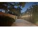 This long driveway illuminated by string lights and bordered by lush greenery enhances the property's ambiance at 2375 Riverwood Pines Dr, Sarasota, FL 34231