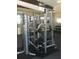 Modern gym with weight machines and fitness equipment for a comprehensive workout experience at 2755 Coconut Bay Ln 1K # 119, Sarasota, FL 34237