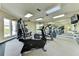 Well-equipped gym with modern exercise machines, mirrored wall, natural light from windows and a TV for entertainment at 4061 Crockers Lake Blvd # 2611, Sarasota, FL 34238