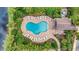 An aerial view of the community pool area, featuring lush landscaping, lounge chairs, and a serene setting at 5718 Westhaven Cv, Bradenton, FL 34203