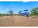 Community playground featuring swings and a play structure, set on a mulch base with lush landscaping and a clear sky at 5821 Hevena Ct, Palmetto, FL 34221