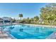 Relax at the community pool surrounded by palm trees, a tiki hut, and a lounge area at 8536 Countess Avenue Cir, Palmetto, FL 34221