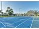 Bright blue tennis court in a community with manicured landscaping around the perimeter at 8536 Countess Avenue Cir, Palmetto, FL 34221