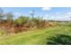Expansive grassy backyard with lush greenery, providing a serene and private outdoor space at 15607 White Linen Dr, Lakewood Ranch, FL 34211
