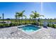 Relaxing spa with tropical palms offering a serene spot to unwind and enjoy sunny days at 15607 White Linen Dr, Lakewood Ranch, FL 34211