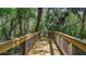 Elevated wooden boardwalk trail winds through a lush, green natural preserve at 8513 Golden Dawn Ct, Sarasota, FL 34241