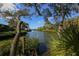 Peaceful canal view surrounded by lush foliage and mature trees creates a serene waterfront atmosphere at 1617 Brookhouse Dr # 255, Sarasota, FL 34231