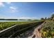 Wooden walkway bordered by lush greenery leads to serene waterfront views under a sunny sky at 1617 Brookhouse Dr # 255, Sarasota, FL 34231