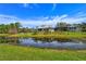 Breathtaking backyard with a serene pond reflecting the beautiful home at 19610 66Th E Ave, Bradenton, FL 34211