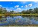 Amazing backyard featuring a placid pond reflecting the stunning home at 19610 66Th E Ave, Bradenton, FL 34211