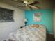 Cozy bedroom with a ceiling fan, two windows, and turquoise accent wall, creating a relaxing space at 3060 Arrowhead Rd, Venice, FL 34293