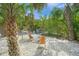 Inviting backyard space with Adirondack chairs, crushed shells, and tropical landscaping at 615 Avenida Del Norte, Sarasota, FL 34242