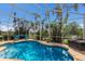 Sun-drenched pool with clear water, surrounded by lush tropical greenery at 7608 Teal Trce, Bradenton, FL 34203