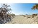 Sandy beach access path framed by natural vegetation leading to the inviting ocean waters at 9200 Midnight Pass Rd # 20, Sarasota, FL 34242