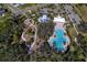 Overhead view of the community pool, splash pad, and playground at 10811 High Noon Trl, Parrish, FL 34219