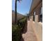 A side view of a home with tropical palm trees and brick sidewalk at 11629 Garessio Ln, Sarasota, FL 34238