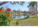 Scenic pond view framed by colorful flowers and lush green grass at 1555 Napoli W Dr, Sarasota, FL 34232