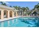 Gorgeous community pool with lounge chairs, umbrellas, and beautiful landscaping at 1555 Napoli W Dr, Sarasota, FL 34232