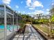 Landscaped backyard path leads toward a beautiful pool and screened-in patio at 1627 Bayshore Dr, Englewood, FL 34223