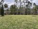 Expansive backyard with lush lawn and natural landscaping at 19715 Tortuga Cay Dr, Venice, FL 34293