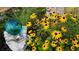 Charming garden detail featuring Black-Eyed Susans and a decorative glass globe at 3301 River Woods Dr, Parrish, FL 34219