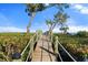 Scenic wooden walkway with rope railings, leading through lush greenery to the beach and waterfront at 5031 N Beach Rd # 222, Englewood, FL 34223