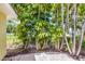 Backyard foliage creates a private oasis at 6606 Holmes Blvd # 3, Holmes Beach, FL 34217