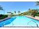 Inviting pool area surrounded by lush greenery and palm trees at 775 Longboat Club Rd # 406, Longboat Key, FL 34228