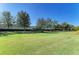 Manicured lawn with mature trees at 167 Maraviya Blvd, Nokomis, FL 34275