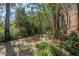 Picturesque backyard with mature trees and lush greenery, providing a peaceful retreat at 1680 Brookhouse Cir # 110, Sarasota, FL 34231