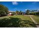 Manicured backyard with lush green lawn, tropical landscaping, and screened-in pool at 2002 Palm View Rd, Sarasota, FL 34240
