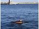 Watch the dolphin frolic and play in your backyard from this waterfront property in paradise at 210 3Rd W St # 8204, Bradenton, FL 34205