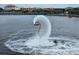 Take advantage of the water activities from this property in paradise including Jetpacks at 210 3Rd W St # 8204, Bradenton, FL 34205