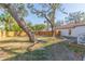 Fenced in backyard featuring mature oak trees, providing ample shade to this outdoor space at 2300 23Rd S St, St Petersburg, FL 33712