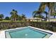 Small, secluded pool surrounded by manicured hedges and tropical landscaping at 3837 Torrey Pines Blvd, Sarasota, FL 34238