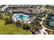 Aerial view of a community pool with palm trees, lounge chairs, and landscaping at 5946 Caspian Tern Dr, Sarasota, FL 34238