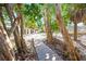 Charming backyard with a wooden pathway through lush greenery and trees at 6537 Gulf Of Mexico Dr, Longboat Key, FL 34228