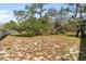 A large, sandy backyard dotted with trees provides an abundance of open space at 1228 Wagon Wheel Dr, Sarasota, FL 34240