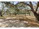 Expansive backyard featuring majestic oak trees, providing shade and natural beauty at 1228 Wagon Wheel Dr, Sarasota, FL 34240