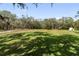 Expansive green field surrounded by mature trees, with a clear blue sky above at 1228 Wagon Wheel Dr, Sarasota, FL 34240