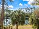 Serene backyard with a calm pond, lush palm trees, and views of the verdant landscape at 5552 Bentgrass Dr # 7-116, Sarasota, FL 34235