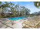 Community pool and lounge area surrounded by lush landscaping, with lounge chairs ready for relaxation at 28 Tall Trees Ct, Sarasota, FL 34232