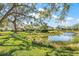 Serene backyard with lush green lawn and scenic pond view beneath a large tree at 4477 White Cedar Trl, Sarasota, FL 34238